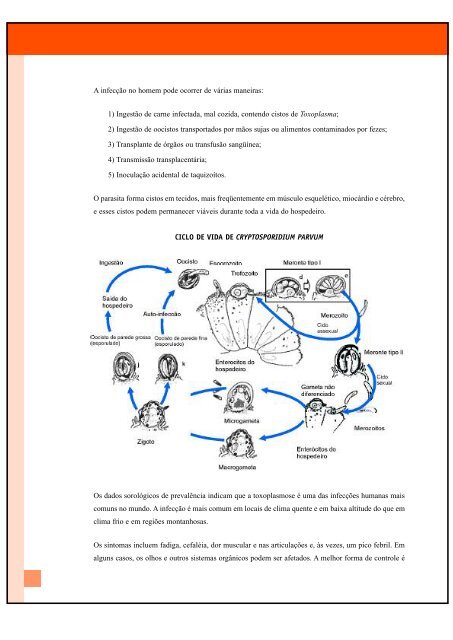 haccp - Inocuidade de Alimentos