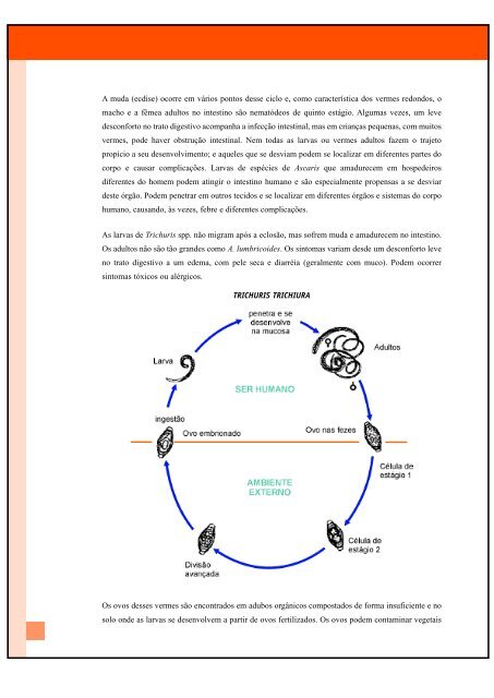 haccp - Inocuidade de Alimentos