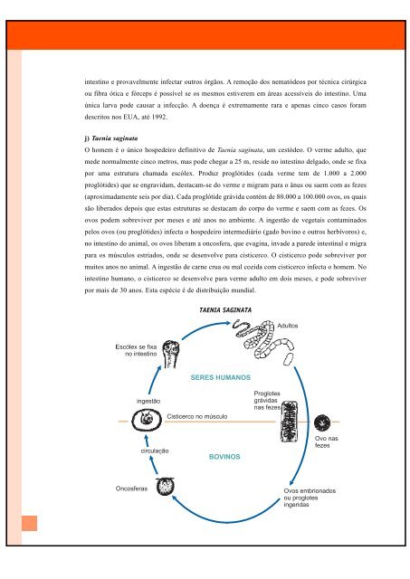 haccp - Inocuidade de Alimentos