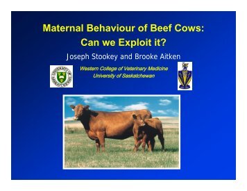 Maternal Behaviour of Beef Cows: Can we Exploit it?