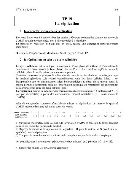 TP 19 - replication.pdf