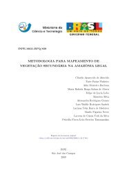 Metodologia para mapeamento de vegetação ... - mtc-m19:80 - Inpe