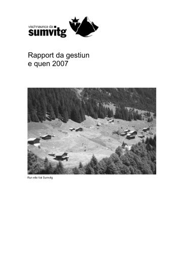 Rapport da gestiun e quen 2007