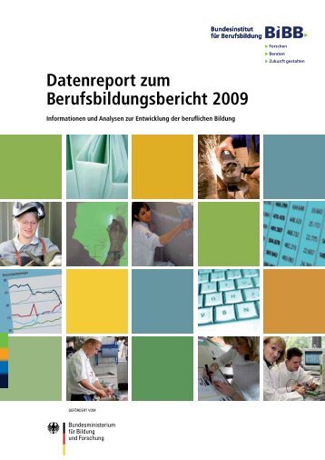 Datenreport zum Berufsbildungsbericht 2009 - BIBB / Datenreport ...