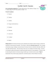Gen Bio 1 Lab #4: Enzymes