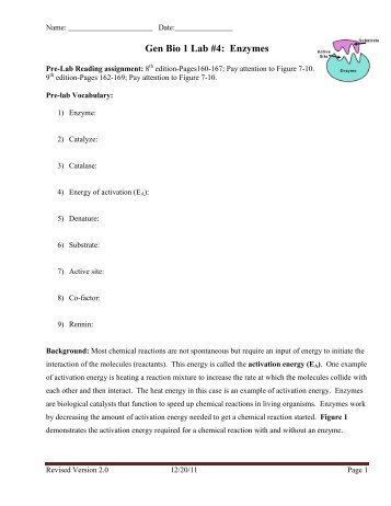 Gen Bio 1 Lab #4: Enzymes