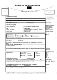 Schengen Visa Application Form (English Translation).