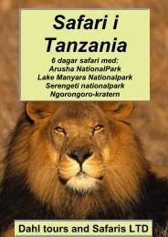 Safari i Afrika, Tanzania - Dahl Safaris
