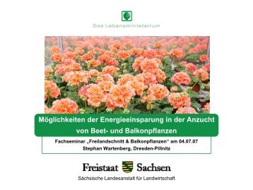 Möglichkeiten der Energieeinsparung in der Anzucht von Beet- und ...