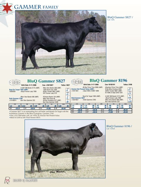 First Annual Production Sale - Angus Journal