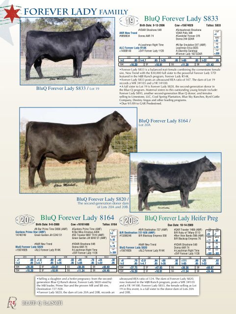 First Annual Production Sale - Angus Journal