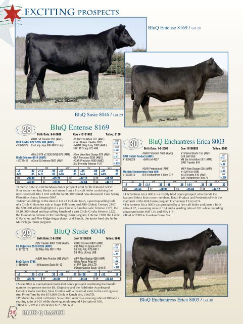 First Annual Production Sale - Angus Journal