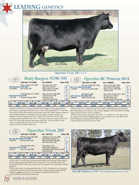 First Annual Production Sale - Angus Journal
