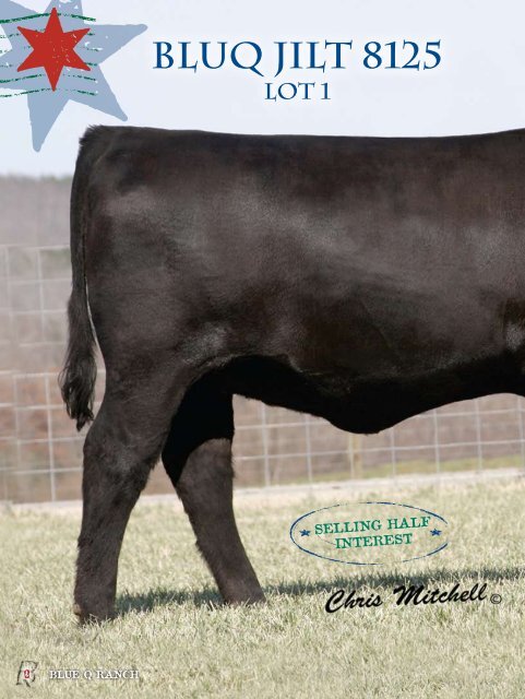 First Annual Production Sale - Angus Journal