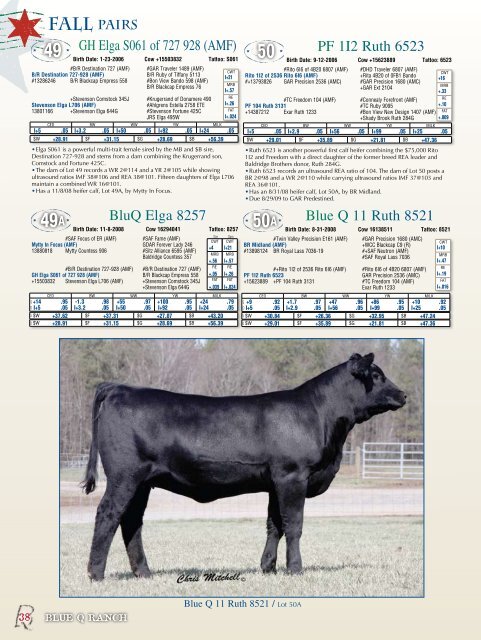 First Annual Production Sale - Angus Journal