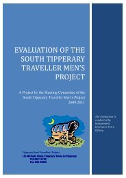 evaluation of the south tipperary traveller men's project