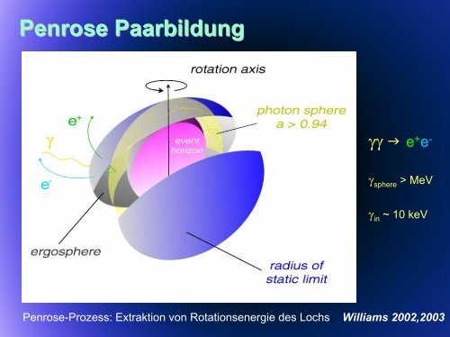 pdf-Datei - Wissenschaft Online