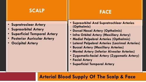 NERVE SUPPLY & BLOOD SUPPLY OF THE SCALP AND FACE