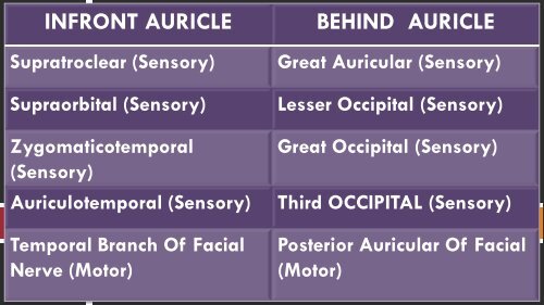 NERVE SUPPLY & BLOOD SUPPLY OF THE SCALP AND FACE