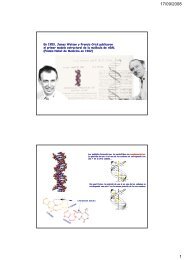 En 1953, James Watson y Francis Crick publicaron el primer modelo ...