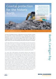 Borth Coastal Protection Scheme Case Study - Royal Haskoning in ...