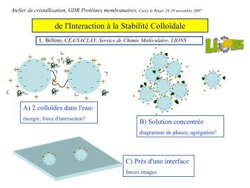 Luc Belloni - De l'interaction Ã  la stabilitÃ© colloÃ¯dale - LISM