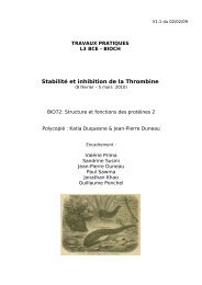 StabilitÃ© et inhibition de la Thrombine - LISM