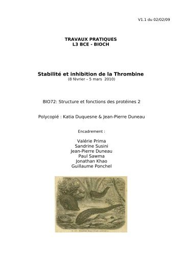 StabilitÃ© et inhibition de la Thrombine - LISM