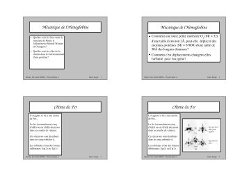 MÃ©canique de l'HÃ©moglobine MÃ©canique de l'HÃ©moglobine ... - LISM