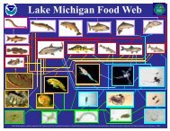 Lake Michigan Food Web