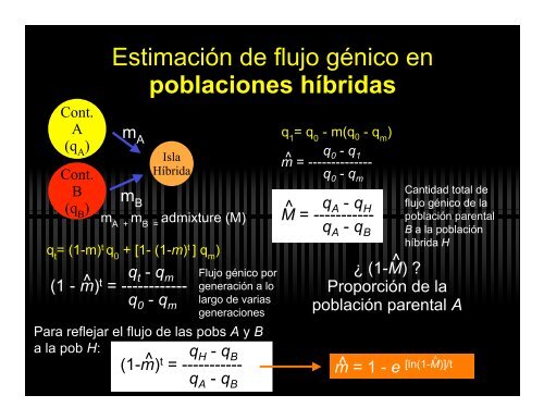 Presentación 11. Flujo génico