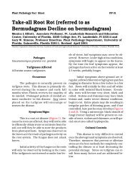 Take-All Root Rot - University of Florida