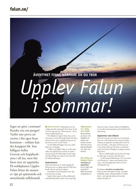 Tema: uTvecklingen i falun - Falu Kommun