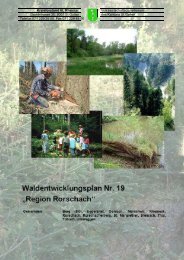 Bericht WEP Rorschach (3166 kB, PDF) - im St.Galler Wald - Kanton ...