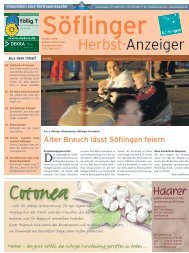 Söflinger Herbst-Anzeiger vom 10.10.2009 - Söflinger Anzeiger