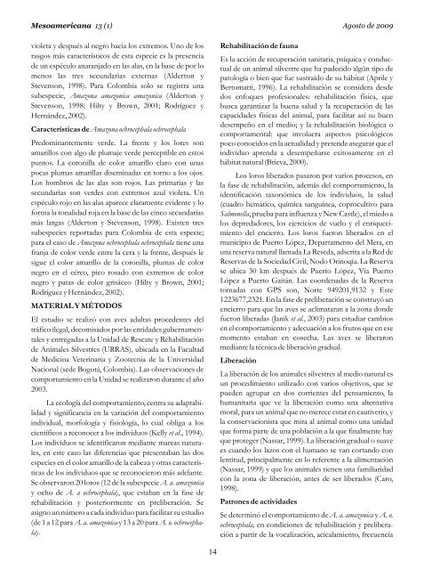 MESOAMERICANA - Sociedad Mesoamericana para la BiologÃ­a y la ...