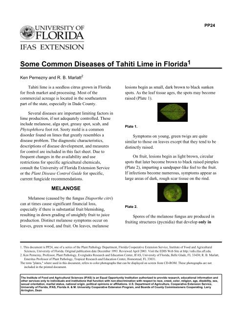 Some Common Diseases of Tahiti Lime in Florida - University of ...