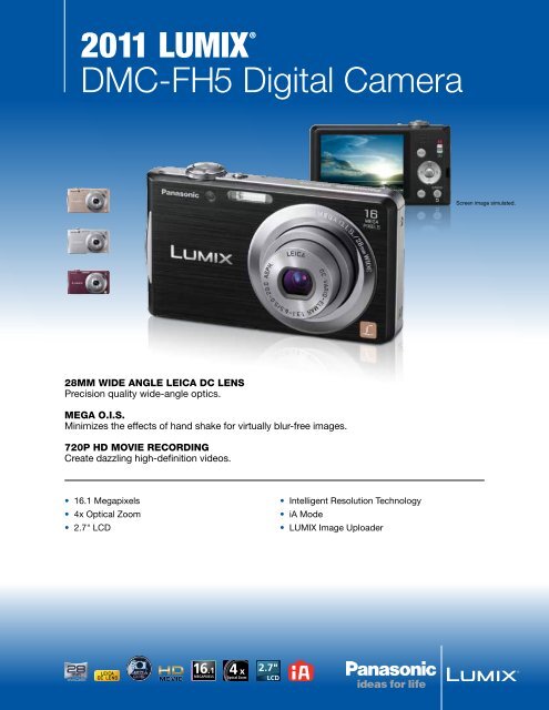 2011 LUMIX® DMC-FH5 Digital Camera - Panasonic