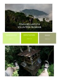 FINCA BELLAVISTA VOLUNTEER PROGRAM