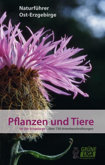 Pflanzen und Tiere 1 - GrÃƒÂ¼ne Liga Osterzgebirge