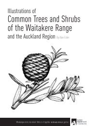 Common Trees and Shrubs of the Waitakere Range