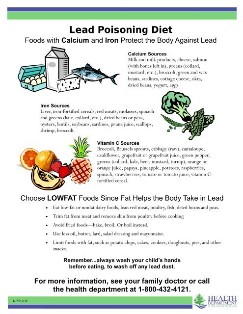 Lead Poisoning Diet