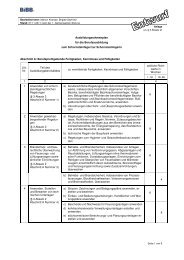 e-Ausbildungsrahmenplan Schornsteinfeger - Wir gestalten ...