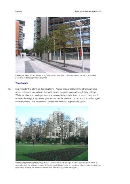 Trees and the Public Realm - Westminster City Council