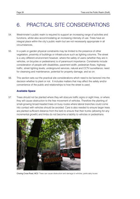 Trees and the Public Realm - Westminster City Council