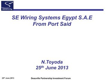 SE Wiring Systems Egypt SAE From Port Said - IDB Group Business ...