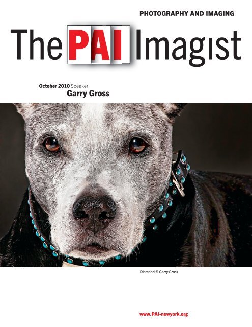Garry Gross Pai Newyork Org