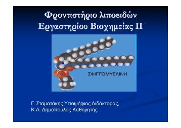 Î±ÏÏÎµÎ¯Î¿ PDF 1,92 MB