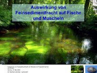 Auswirkung von Feinsedimentfracht auf Fische und ... - Wanderfische