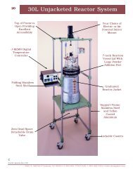 30L Unjacketed Reactor System